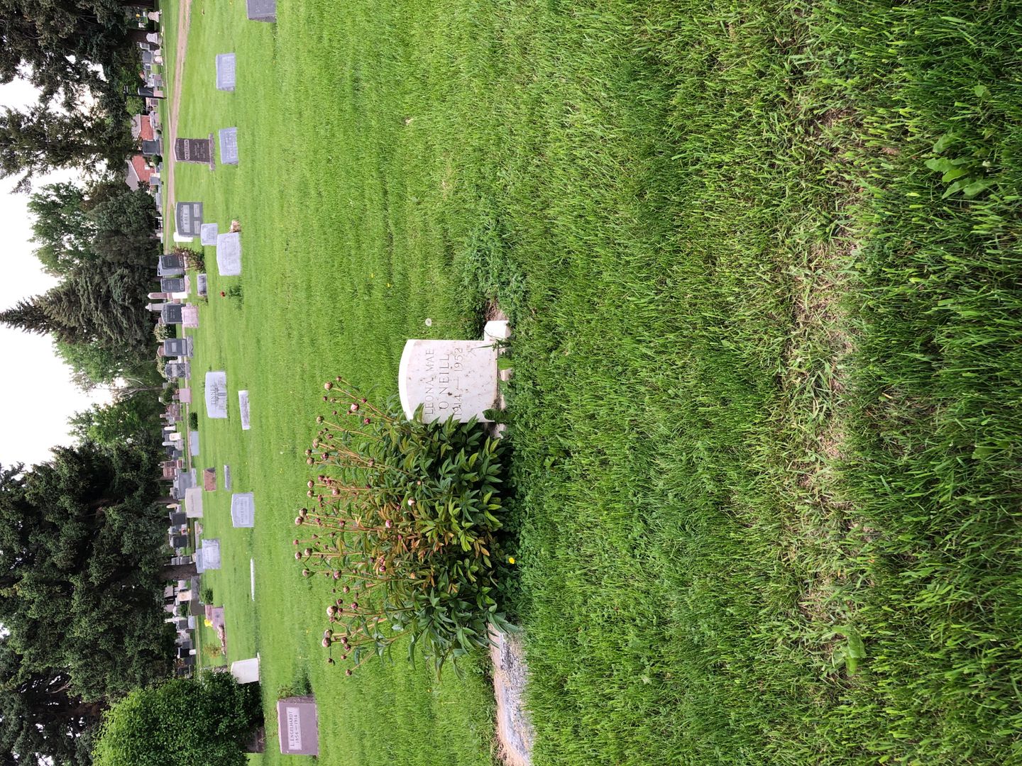 Leona Mae O'Neill's grave. Photo 1