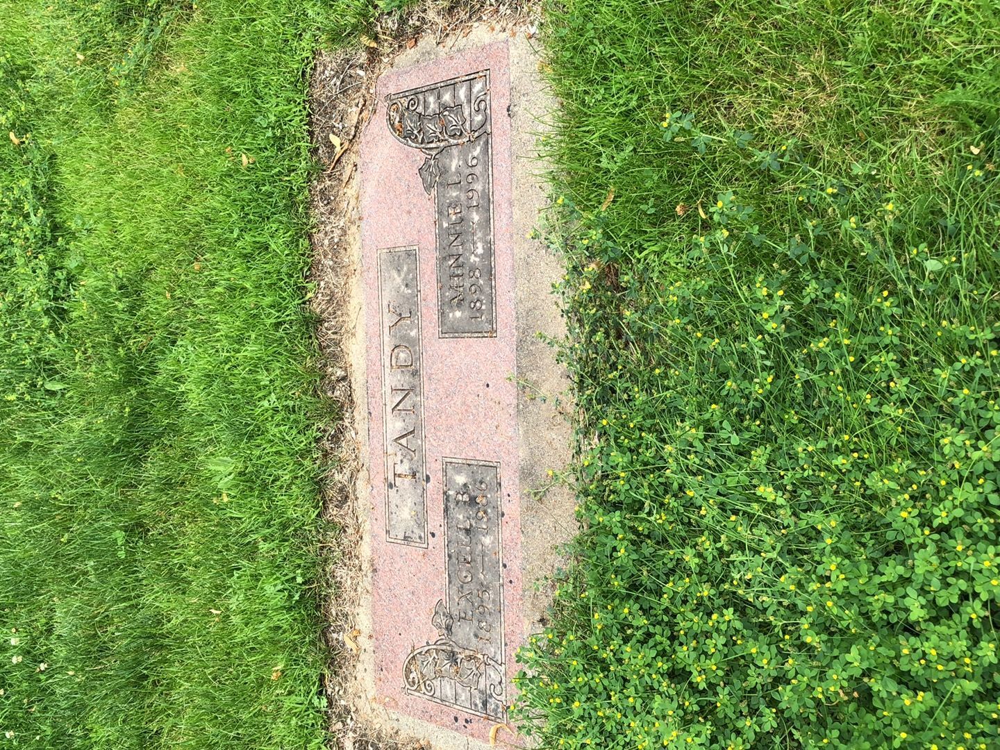 Minnie Lucille Tandy's grave. Photo 1